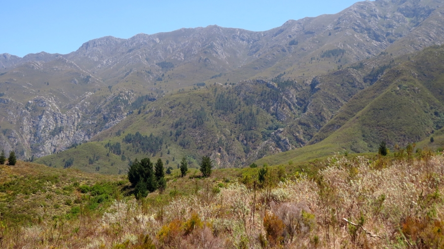 Commercial Property for Sale in Robertson Rural Western Cape